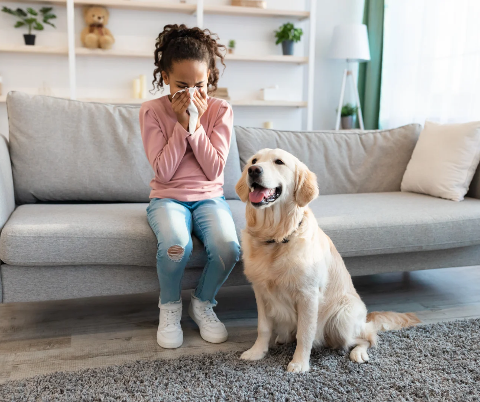 The Hidden Dangers of Indoor Air Quality: Are You Ignoring This Threat to Your Health?