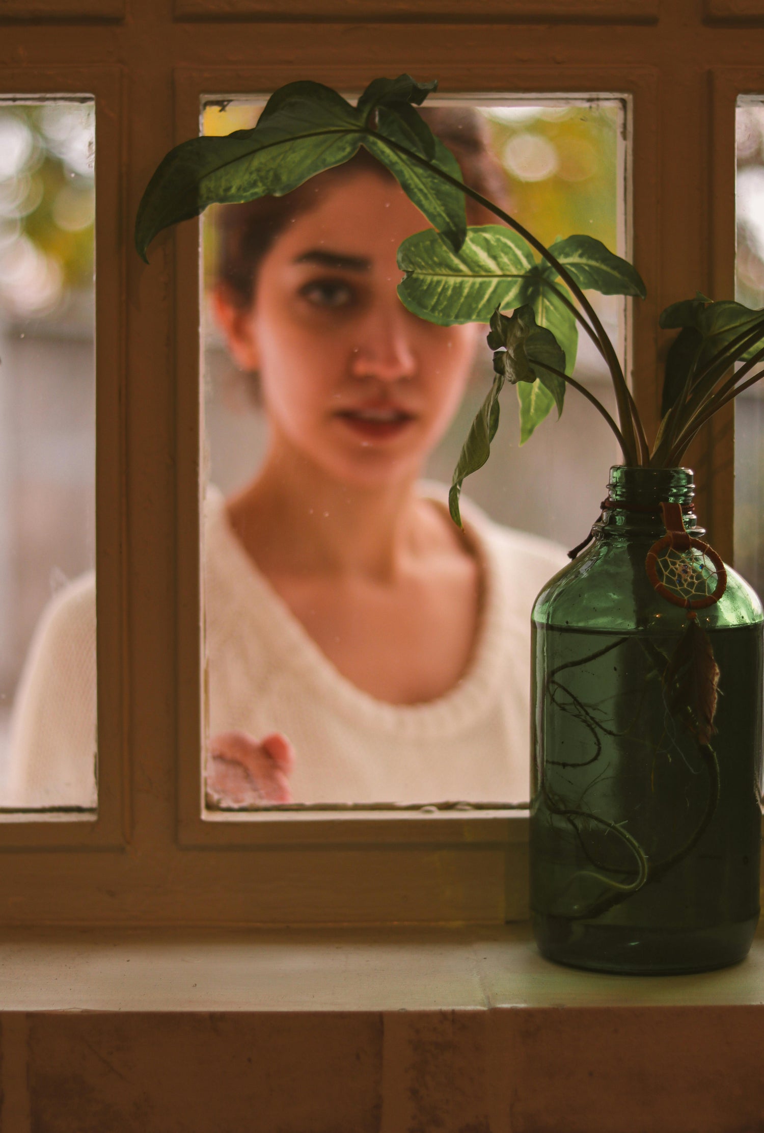 Toxin Free Living - Beginner's Guide
